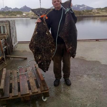 Rooms For Rent Bo (Nordland) Esterno foto