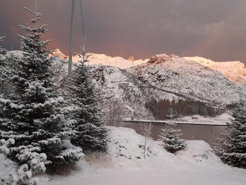 Rooms For Rent Bo (Nordland) Esterno foto